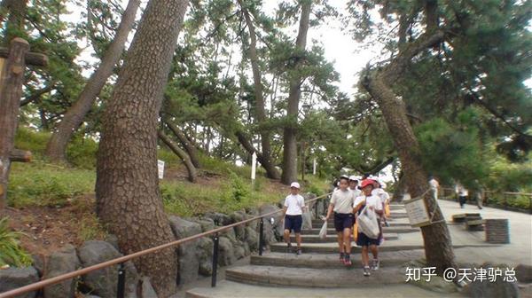 三保松原 御穗神社 日本 知乎