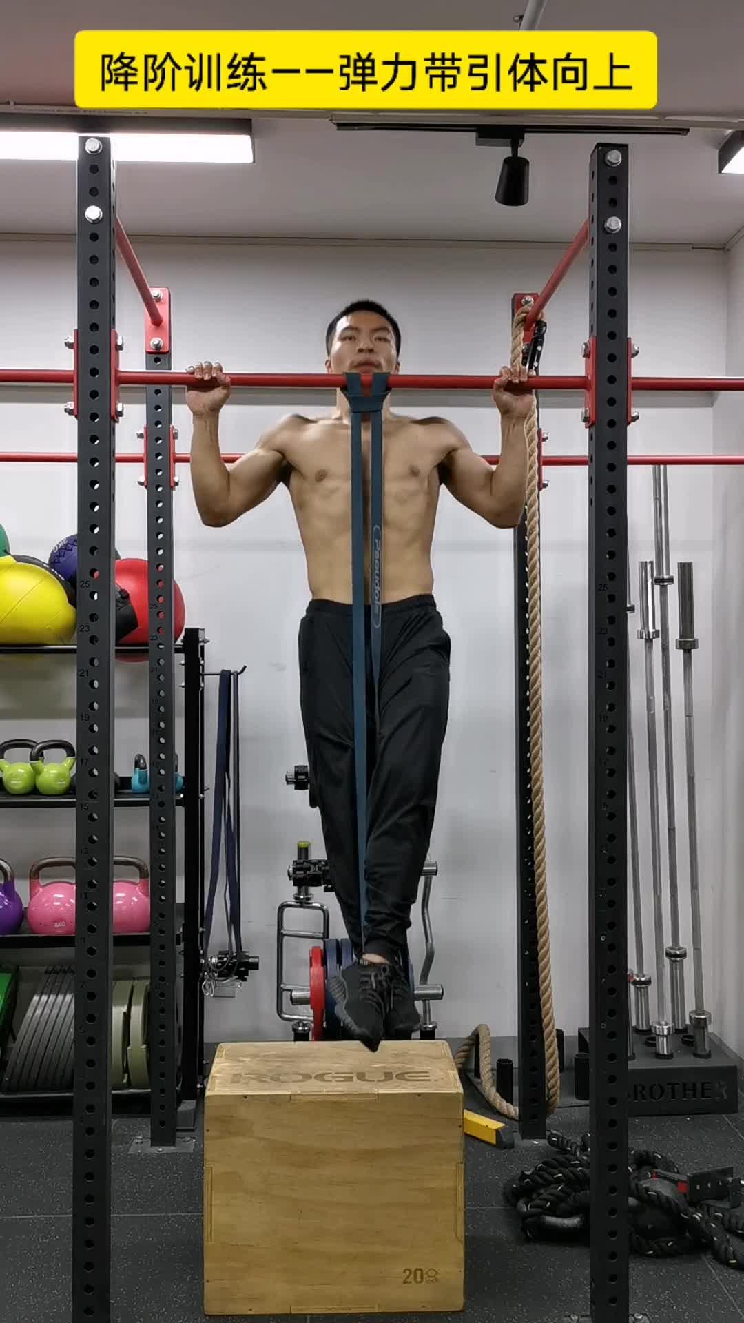 新手必看如何完成标准的引体向上