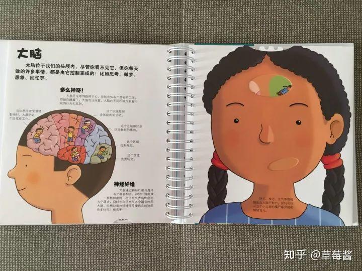 生理启蒙绘本3d立体展示我们的身体