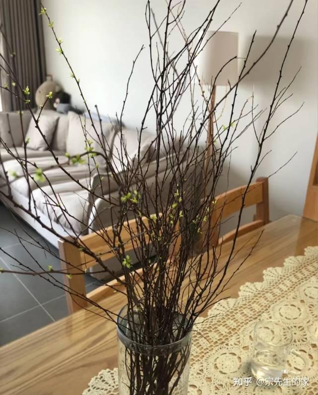堪称“神奇”的干枝，遇水能开花的内幕，必须让每一个花友都知道 - 知乎