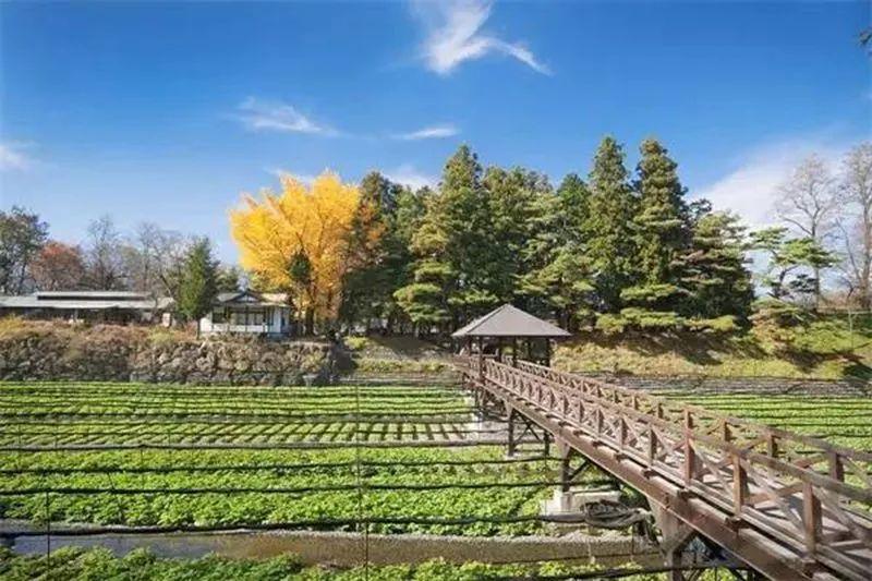 文旅时代,乡村旅游设施是旅游品质的重要载体!