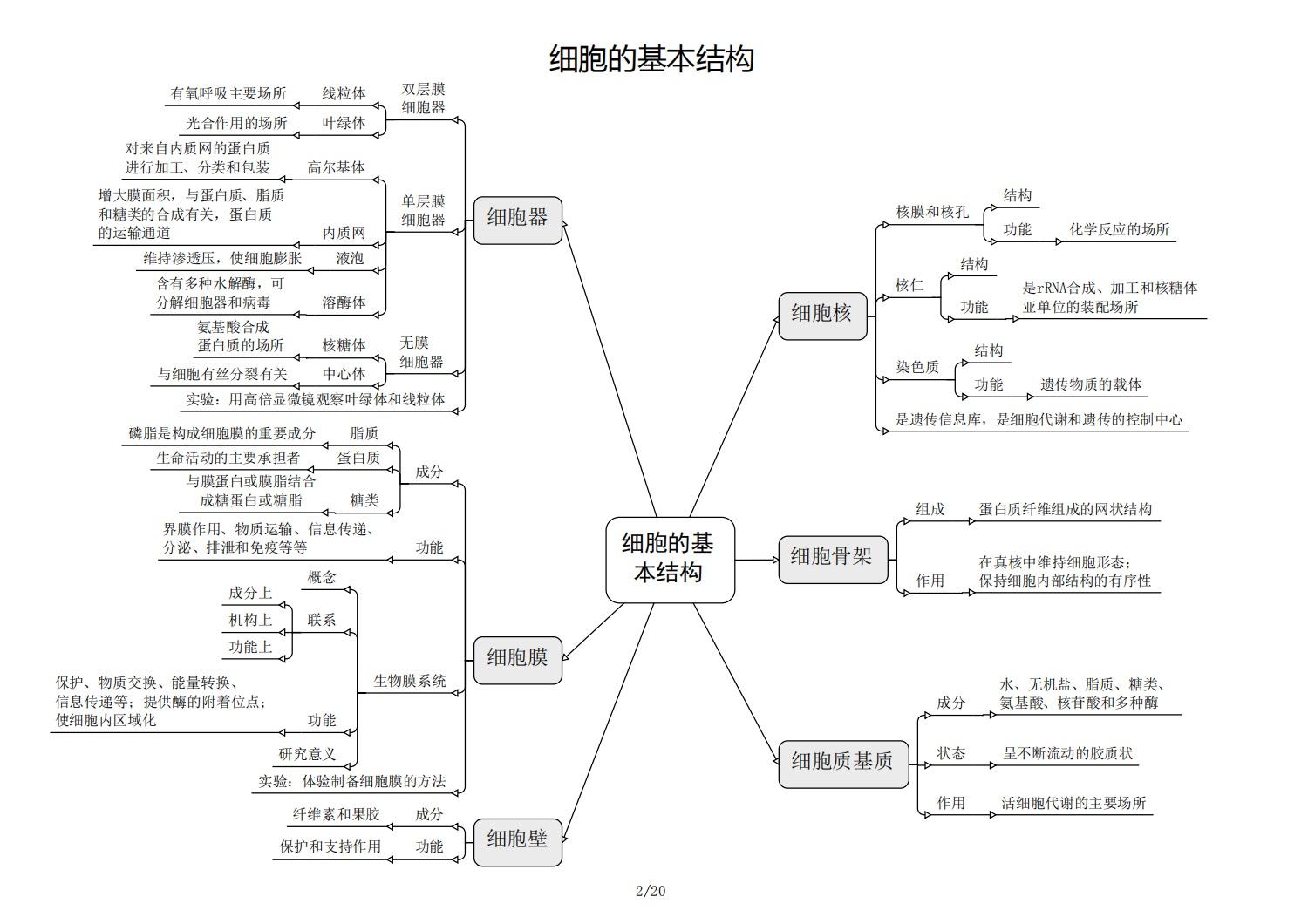 高中生物知识框图图片