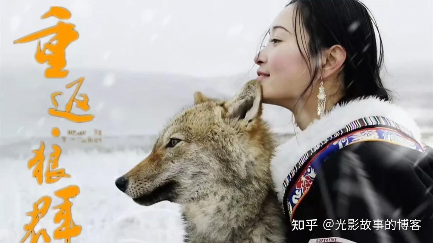 白钰:孤狼最后的尊严——浅析电影《重返狼群》 - 知乎