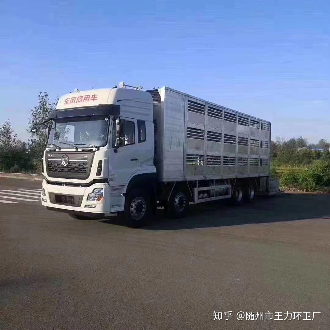 东风天龙运猪车拉猪车猪苗车
