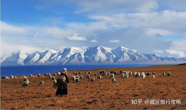 想去西藏人的心里_【想去西藏人的心里话怎么说】