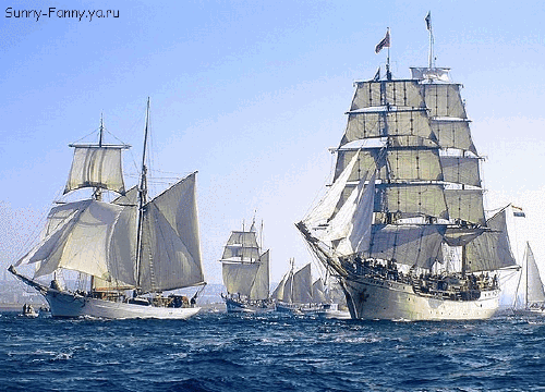 GIF 动态图(6) 自然风景：海洋世界 (船、游鱼、海豚、贝壳等)【多图欣赏】 - 知乎
