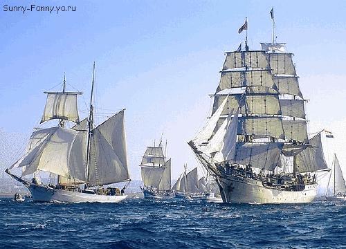 GIF 动态图(6) 自然风景:海洋世界 (船、游鱼、海豚、贝壳等)【多图欣赏】 - 知乎