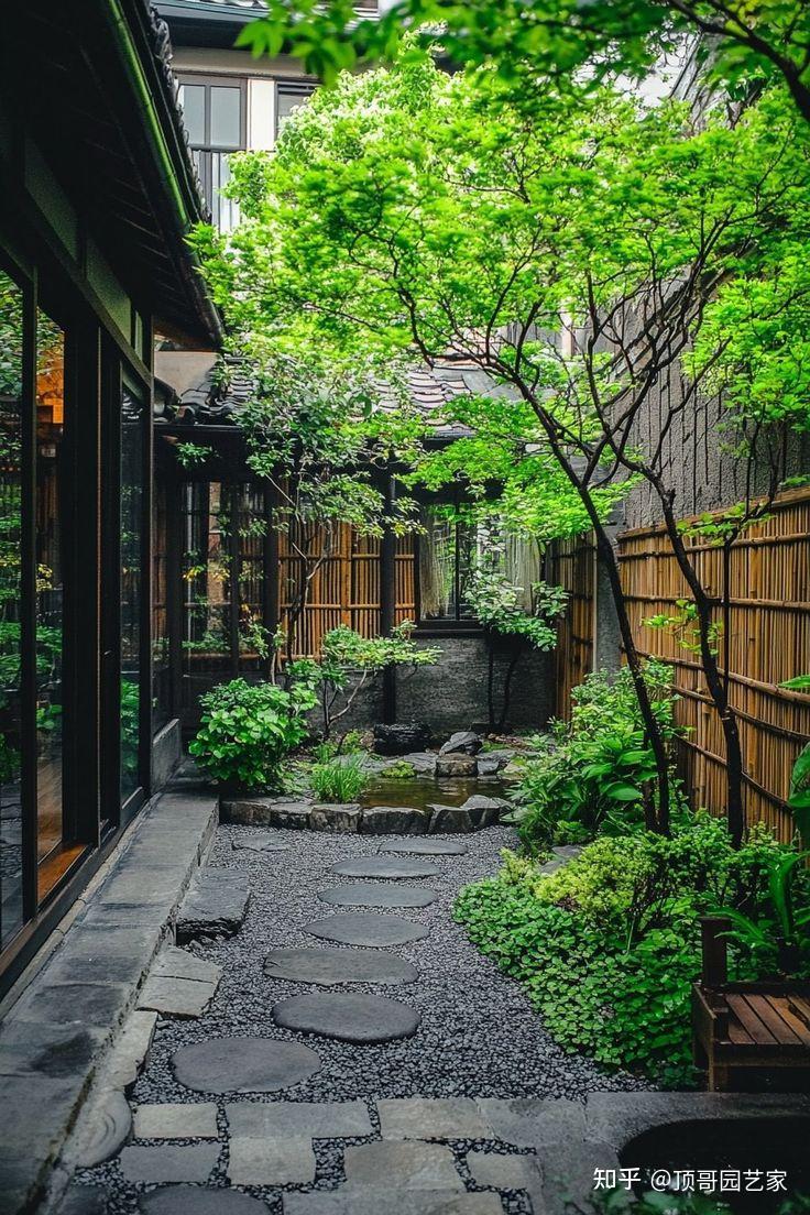 禅意庭院适合种植哪些植物? - 知乎