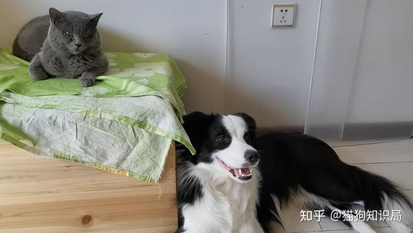 深圳晚会策划