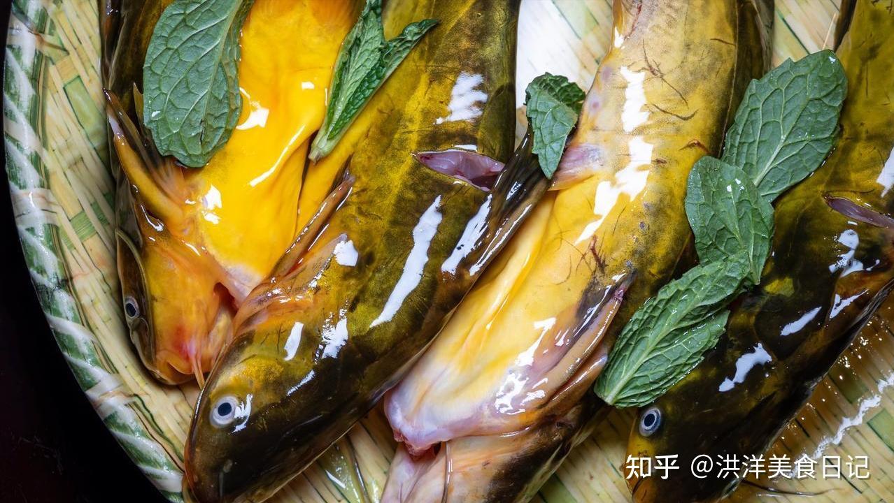 过年买鱼有讲究,建议大家这4种少买,尊重老传统,平安过大年! - 知乎
