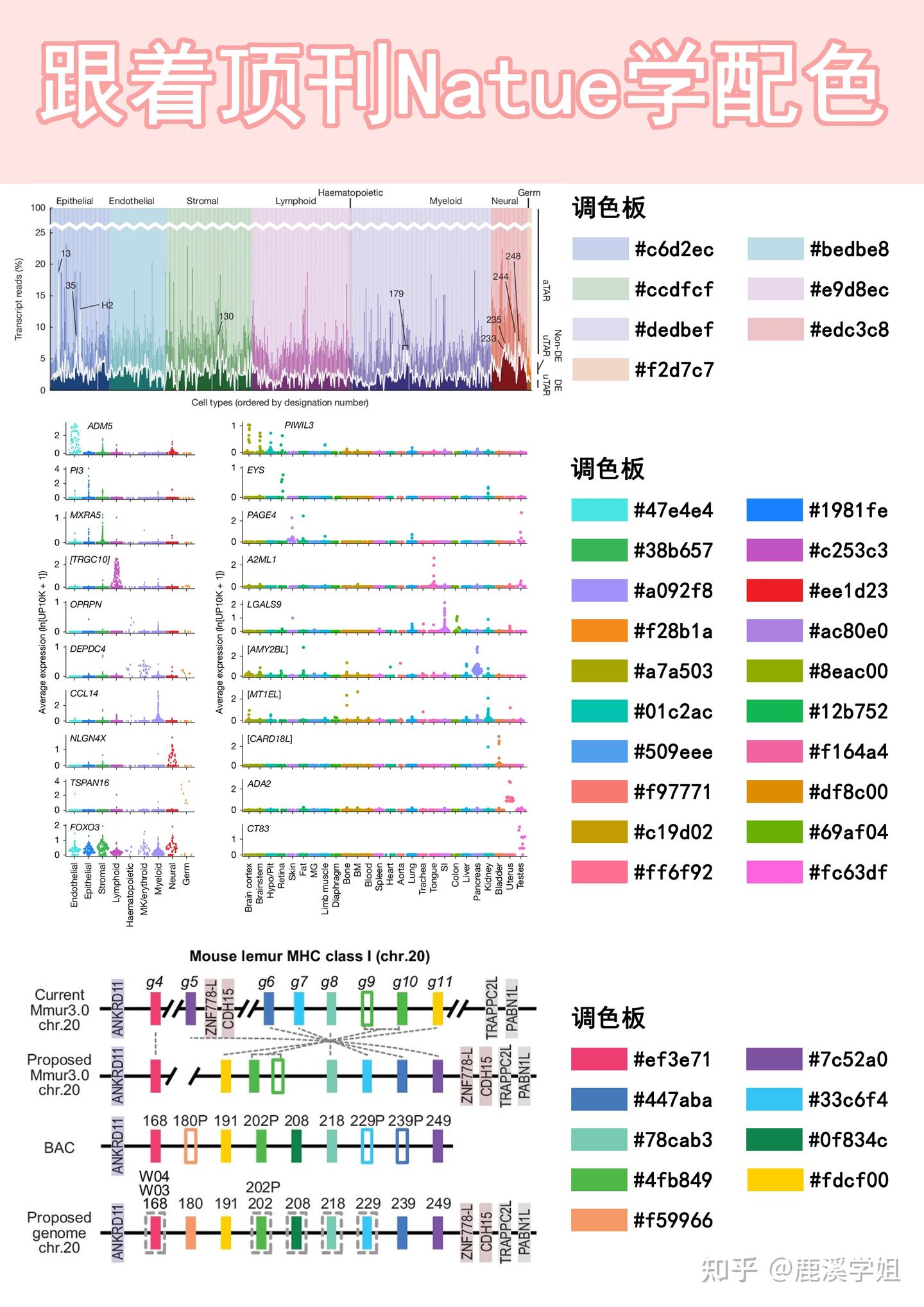 Nature御用配色公式！科研绘图秒变顶刊风，3招搞定高级感 - 知乎