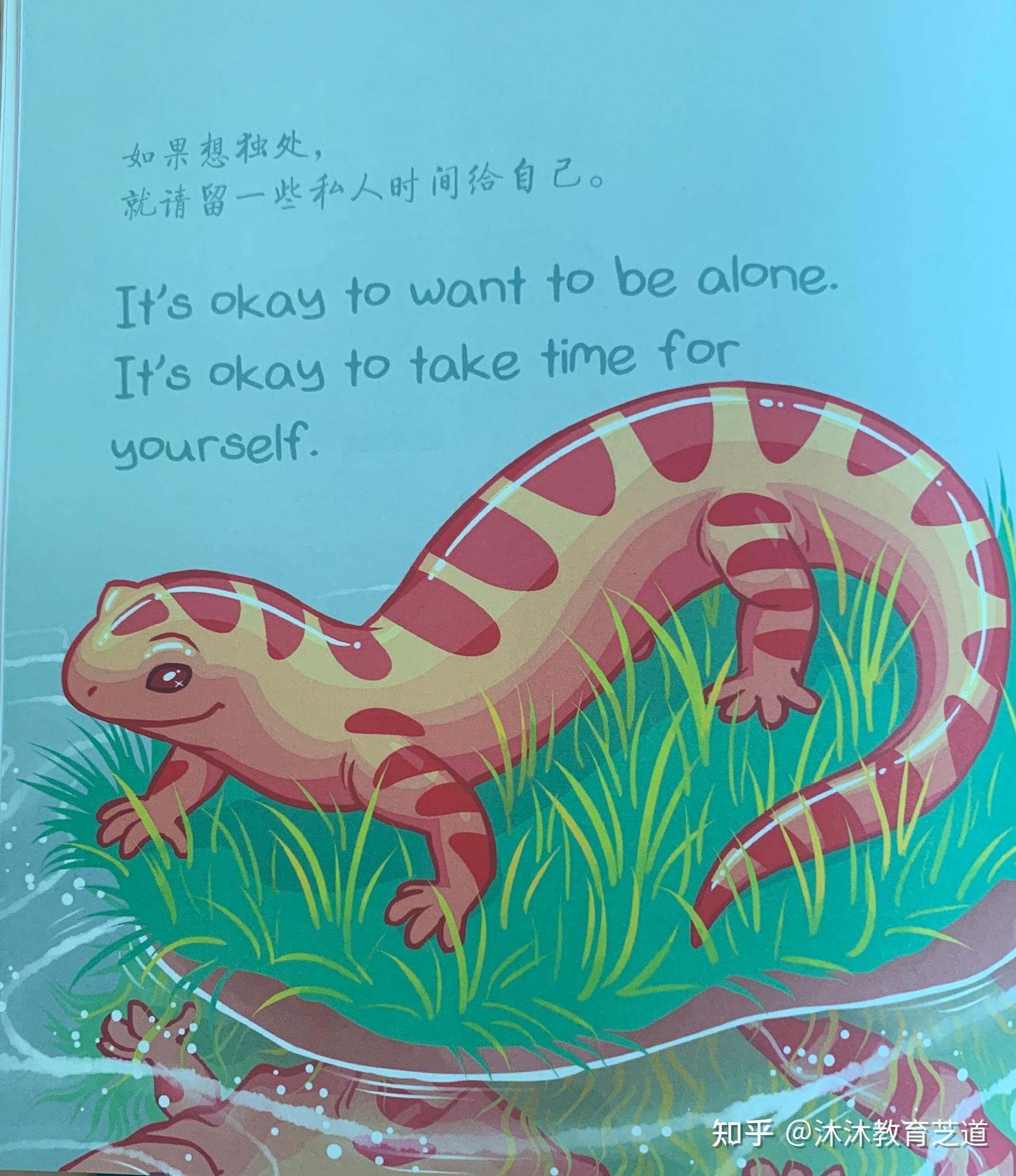 柔软的刺猬自我疗愈的内在力量保持好心境