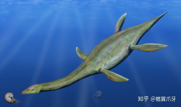 【远古の鳍】上龙科小传1:修短随化,来日方长 - 知乎