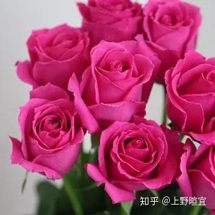 v2-18b2bec0715f7f8ca578bdc2ee9469e2_b.jpg