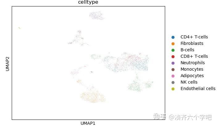 单细胞数据的细胞提取及分组UMAP图绘制流程参考(Python) - 知乎