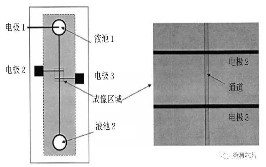 电渗不仅可用来直接驱动带电流体,也可用作动力微泵的动力源.