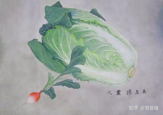 我是雕刻師白菜繪畫