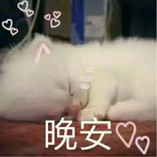 晚安表情包（无水印六） - 知乎