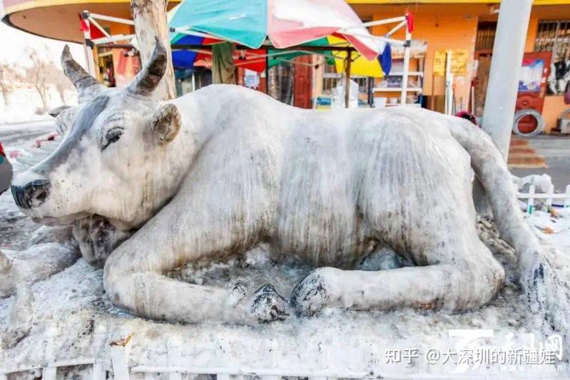 新疆人玩雪有多厉害