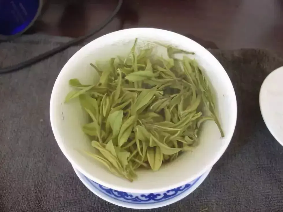 名山出名茶麻姑茶