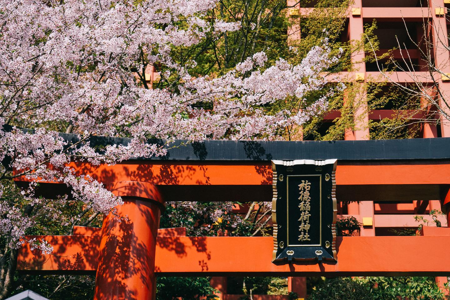 鹿岛与武雄 九州小众旅行之神社 乐园与图书馆 知乎