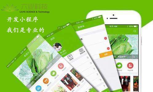 利用微信小程序插件开发：增强功能并提升用户体验 (利用微信小程序赌博是犯法的吗)