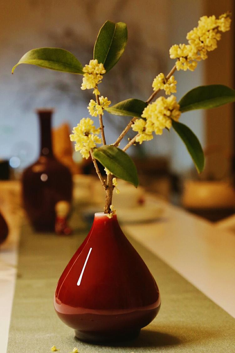 桂花和什么花瓶搭配合适
