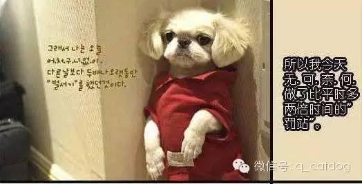 哼罚站就罚站呗干嘛拿手指我伤我自尊