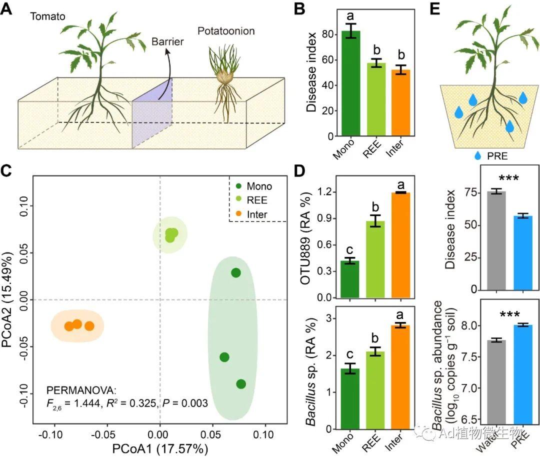 Molecular Plant | 东北农大/南京农大研究揭示根系分泌物塑造根际微生物组的病害抑制能力! - 知乎