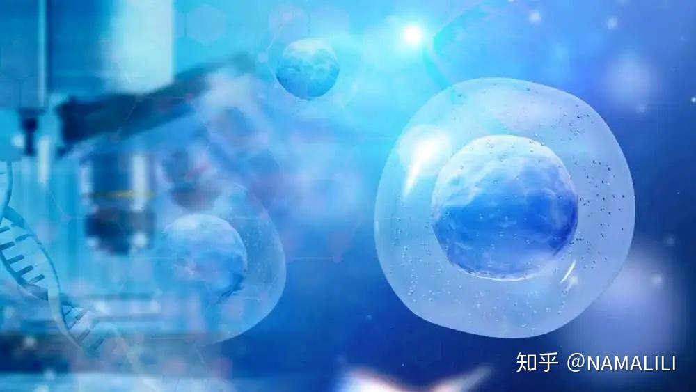 干細胞最全的科普(圖7)