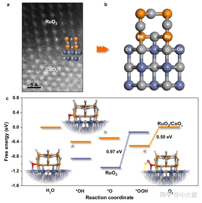 RuO2 CoO OER Co Ru 0 24 V 