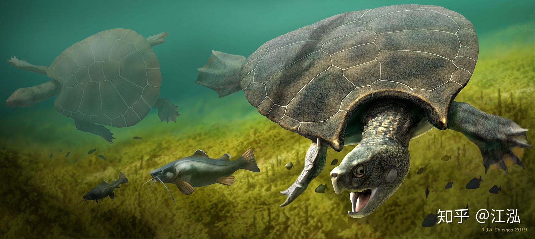 泰坦巨蟒纪录片中文 v2-196f00c8dc248971f423c501b3e81542_r.jpg