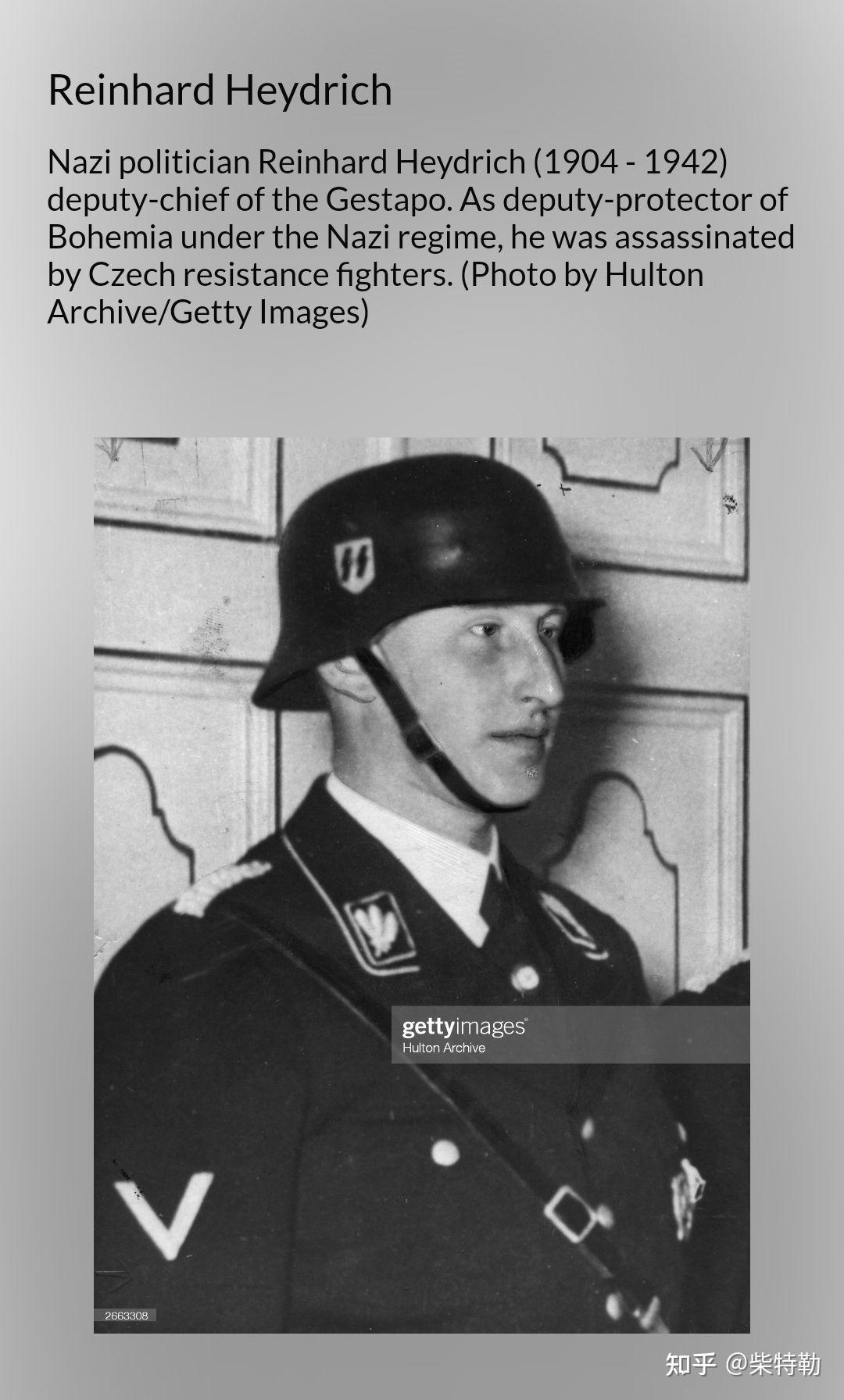②:纳粹党卫队m32型党政制服钢盔