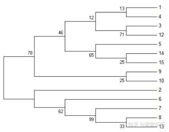 聊聊使用mega软件的方法和步骤 构建不同类型的序列进化树 知乎
