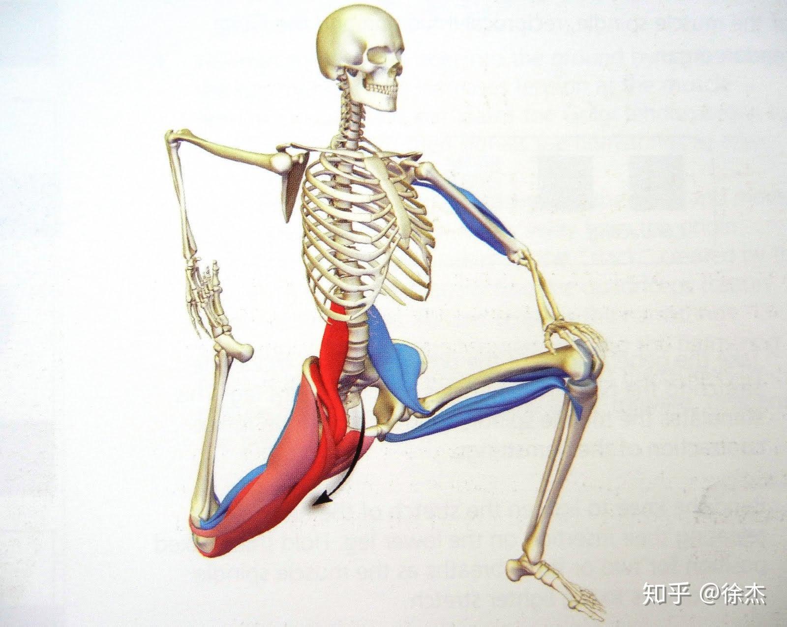 膝关节问题常规康复训练动作详解1——大腿前侧直腿抬高（附带视频讲解） - 知乎