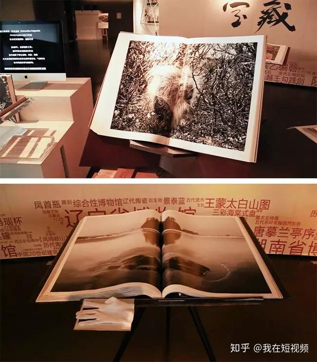 将艺术做到极致 雅昌 精典的综合艺术空间 - 知乎