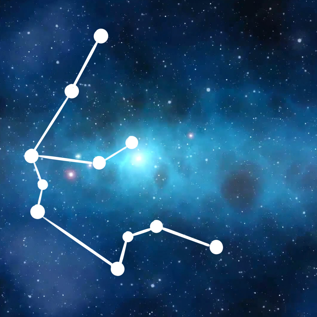 ta一直都是特别的存在在成都轨道交通大家庭中蓉2号线亦是如此水瓶座