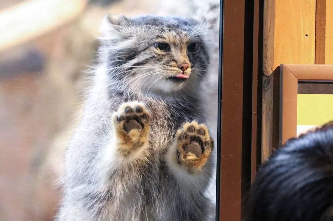 追了半年的女生,被一个非高富帅的人一周搞定