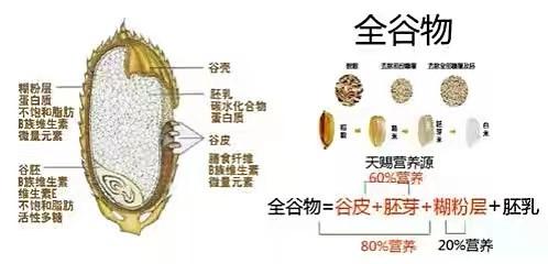 五谷杂粮全知道 |全谷物、粗粮和杂粮的区别？ - 知乎
