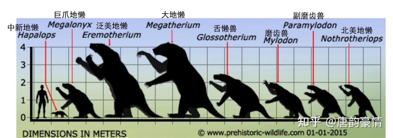 第十二章 潘帕斯巨兽 - 知乎