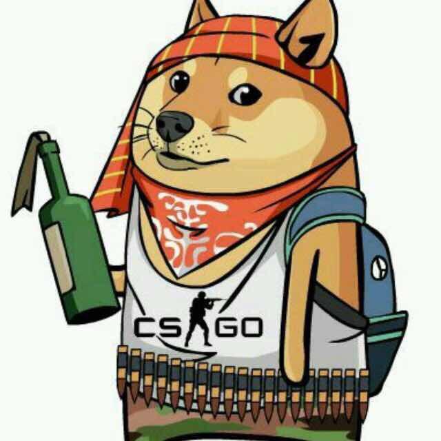 有哪些有意思的社交软件头像?