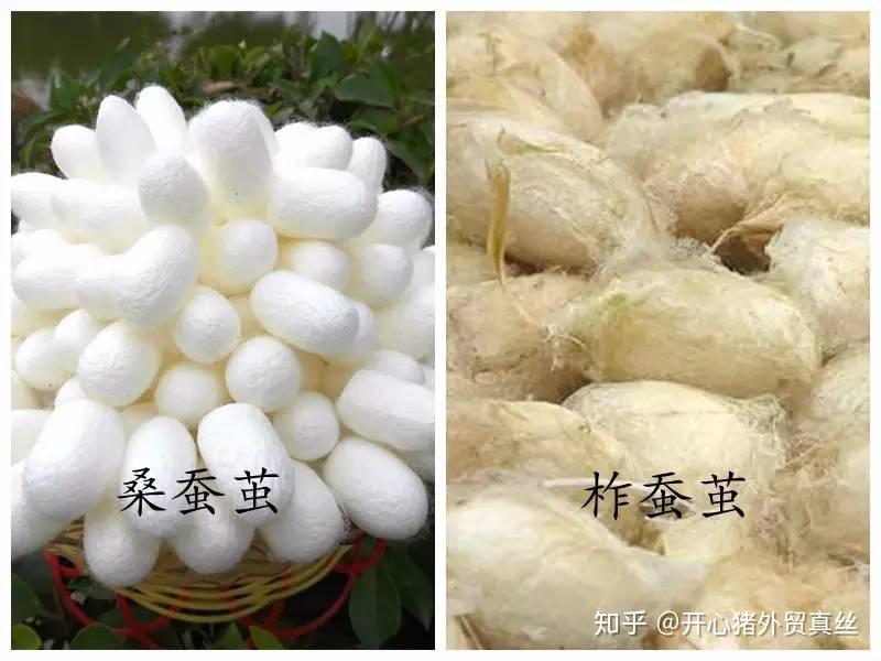 (按照行业规则,如果是柞蚕丝等其他蚕丝,都会特别声明.