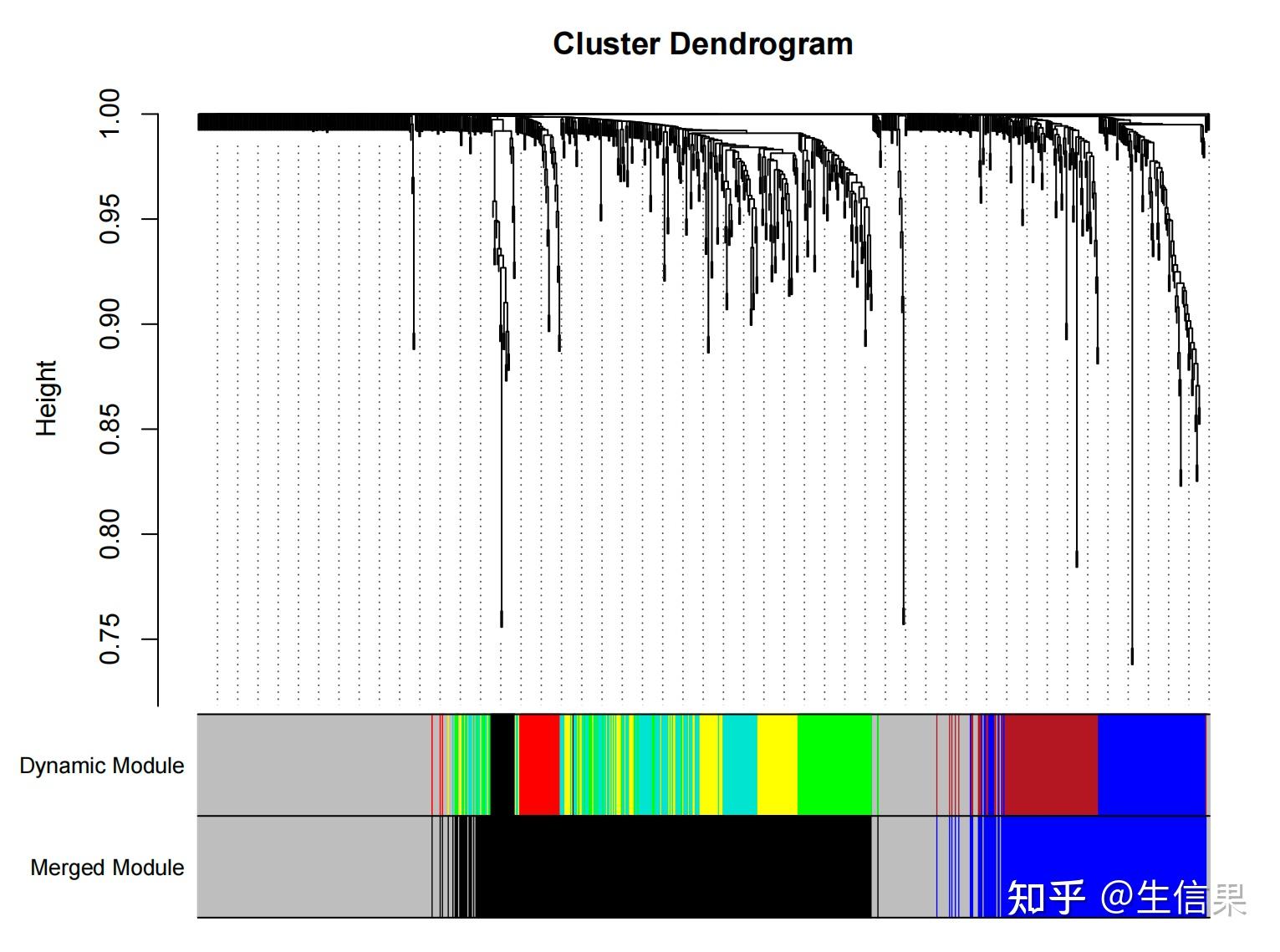小果教你解读WGCNA分析中的cluster dendrogram图谱 - 知乎