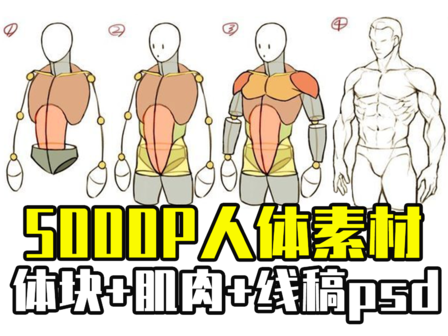 100套绘画资源,超10万张素材!毕生私藏公开分享! - 知乎