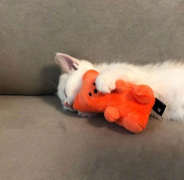 有没有睡觉的头像可爱一点的都可以哟多谢