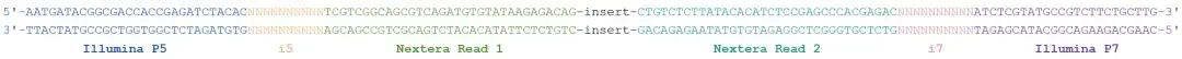 一文搞懂 Illumina 接头序列 - 知乎