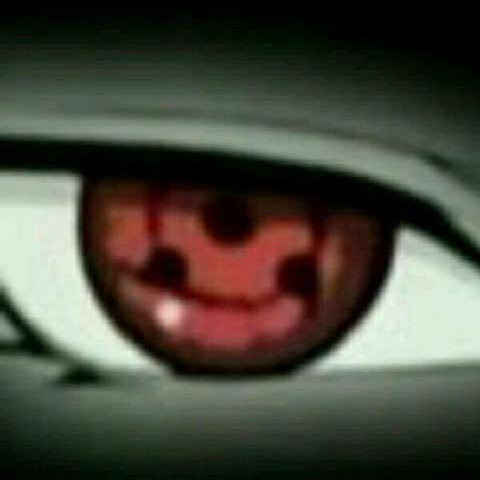 岛叔