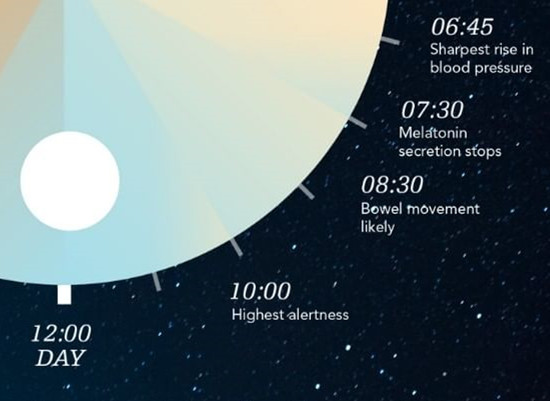 晝夜節律來認識下你身體24小時的時間表
