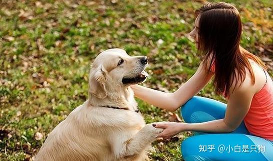 一个人“养狗”和“不养狗”，十几年后，身体差距很大！ - 知乎