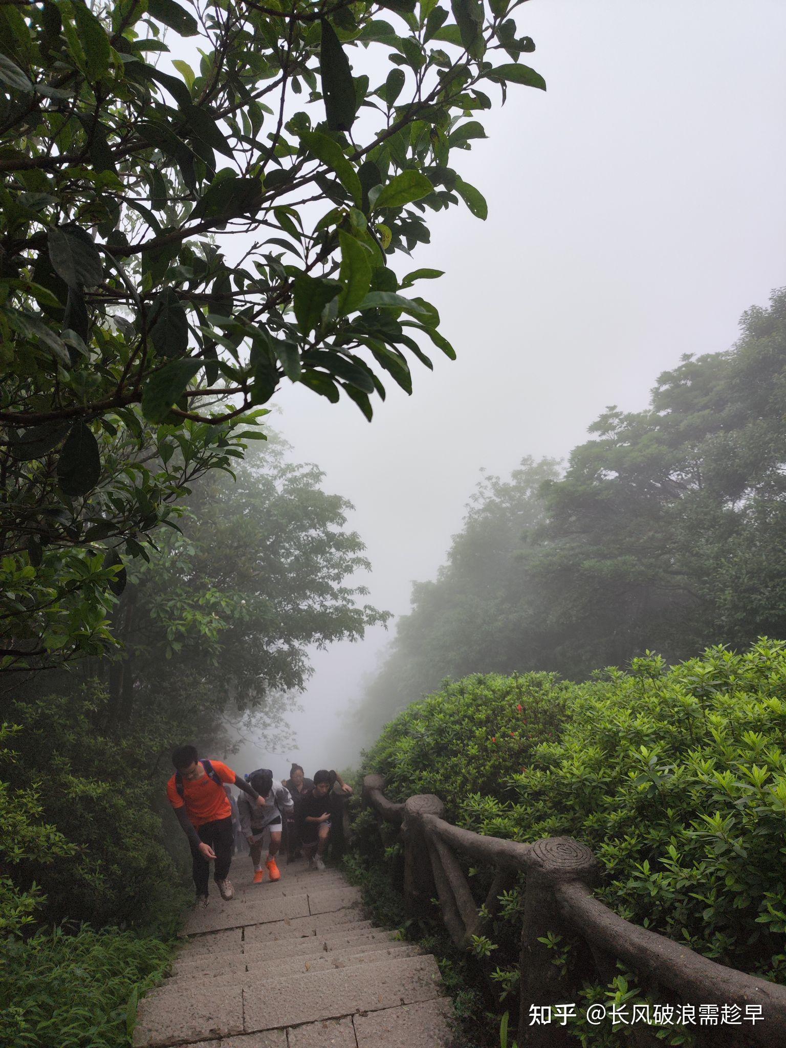 大小梧桐山图片